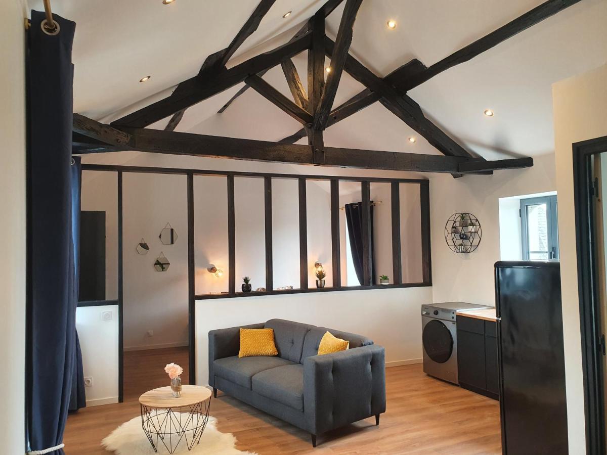 Le Loft De Blossac Διαμέρισμα Πουατιέ Εξωτερικό φωτογραφία